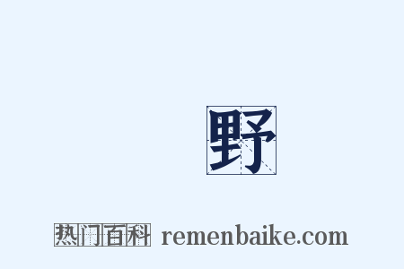 內野是什么意思的图片